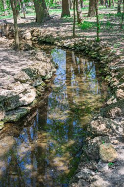 Ukrayna'da Askania-Nova hayvanat bahçesinde Bahar deresi