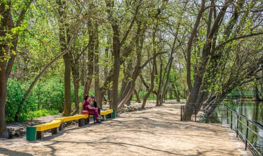 Askania-Nova topraklarında alleys