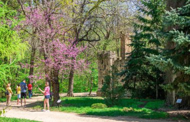 Askania Nova Arboretum eski su kulesi binası