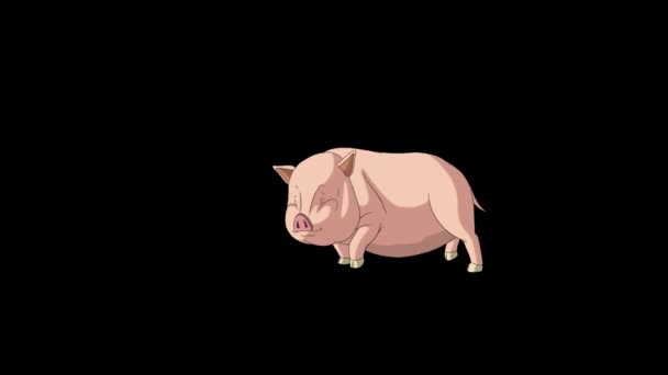 Piggy Runs Giallo Rosa Con Una Fermata Grafica Animata Looped — Video Stock