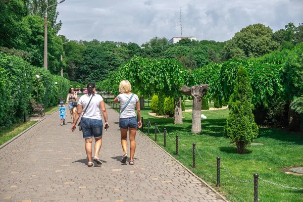 Alleys in Gorky Park w Odessie, Ukraina — Zdjęcie stockowe