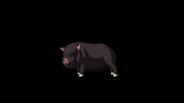 Siyah Küçük Piggy Bir Stop ile Çalışır. Alfa Kanallı Hareketli Döngülü Hareket Grafiği. 