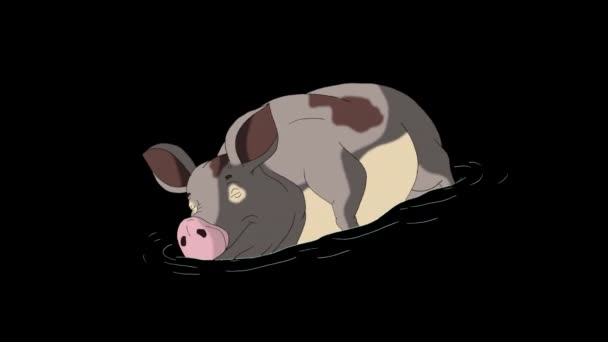 Серая Свинья Спит Анимированная Анимационная Графика Каналом — стоковое видео