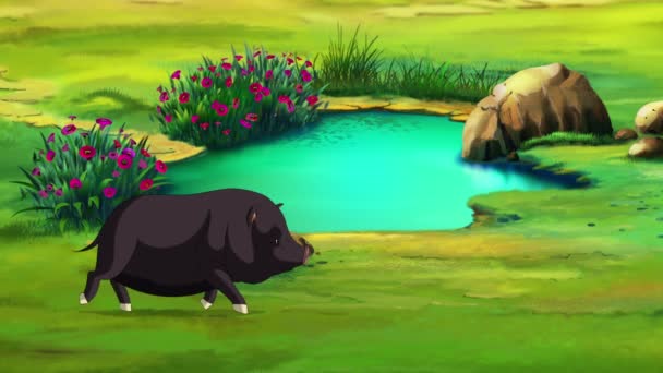 Porquinho Preto Corre Perto Uma Grande Poça Dia Verão Animação — Vídeo de Stock