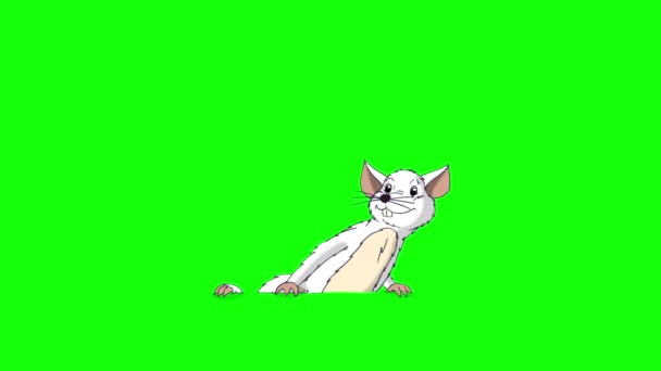 White Rat Crawls Out Hides Back Animated Looped Motion Graphic — Stock Video