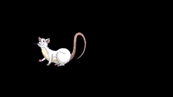 White Rat Falls Asleep Wakes Animated Looped Motion Graphic Alpha — Stock Video