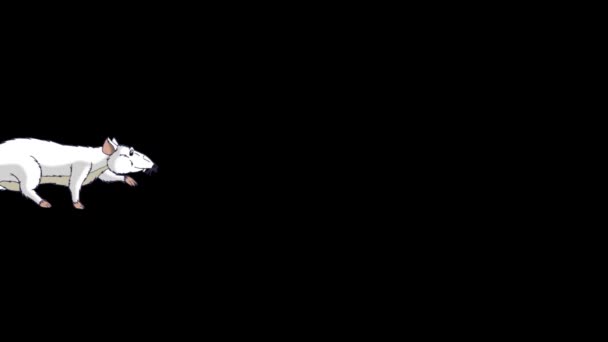 Le rat blanc se faufile. Graphisme animé en boucle avec Alpha Channel. Bonne année chinoise 2020 