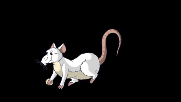 Fehér Patkány Kimászik Sajtot Eszik Animated Looped Motion Graphic Alpha — Stock videók