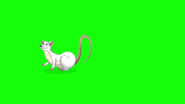 Beyaz Sıçan Uykuya Dalar Uyanır Canlandırılmış Döngülü Hareket Grafiği Yeşil — Stok video