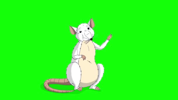 Witte Rat Groet Zwaait Met Zijn Poot Animated Looped Motion — Stockvideo