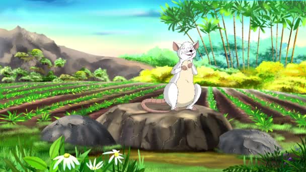 White Rat Wishes Happy Chinese New Year 2020 Background Rice — Stock Video