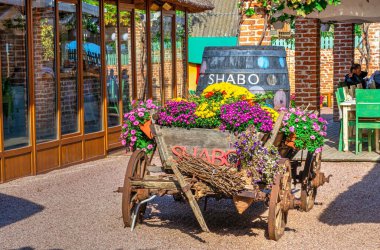 Shabo, Ukrayna 09.29.2019. Güneşli bir sonbahar gününde Ukrayna 'nın Odessa bölgesindeki Shabo şaraphanesinde bir restoran.