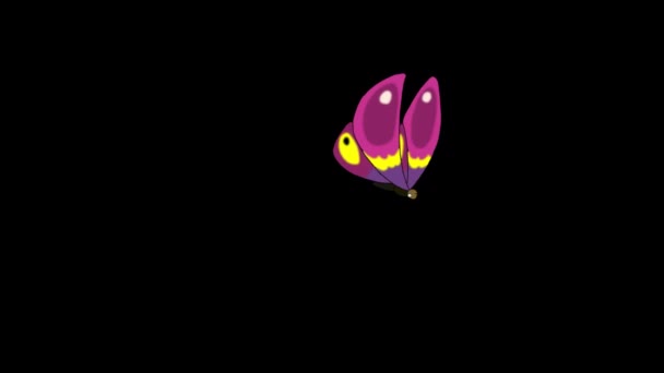 ピンクの蝶が飛び込み 飛び去っていく アルファチャンネルで隔離されたアニメーションループ映像 — ストック動画