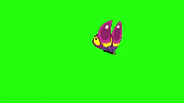 Le papillon rose arrive, s'assoit et s'envole. Images animées en boucle isolées sur écran vert.