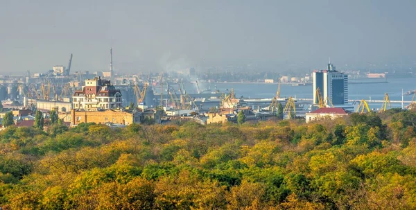 Odessa Ukraina 2020 Ovanifrån Shevchenko Park Odessa Ukraina Solig Vårdag — Stockfoto