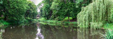 Bila Tserkva, Ukrayna 06.20.2020. Ukrayna 'nın en güzel ve ünlü ağaç kesimlerinden Bila Tserkva' daki İskenderiye parkı, bulutlu bir yaz gününde.