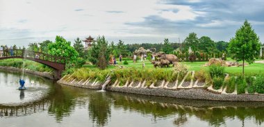 Volodarka, Ukrayna 06.20.2020. Ukrayna 'da Bila Tserkva yakınlarındaki Volodarka köyünde bulutlu bir yaz gününde Park Sakura Adası