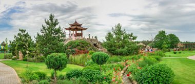 Volodarka, Ukrayna 06.20.2020. Ukrayna 'da Bila Tserkva yakınlarındaki Volodarka köyünde bulutlu bir yaz gününde Park Sakura Adası