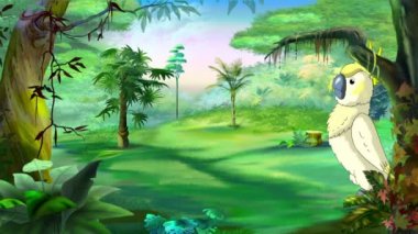 Güneşli bir günde ormanda yürüyen beyaz papağan papağanı. El yapımı animasyon, döngülenmiş.