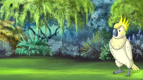 在阳光灿烂的日子里 白色的鹦鹉鹦鹉在丛林中散步 手工动画 — 图库视频影像