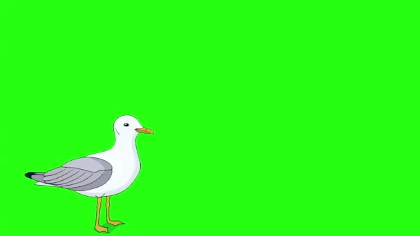 Seagull Flies Sky Handmade Animated Looped Footage Isolated Green Screen — Stock Video