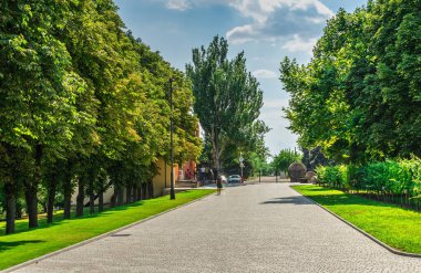 Vesele, Ukrayna 07.24.2020. Güneşli bir yaz gününde Prens Trubetskoy şaraphanesine park et.
