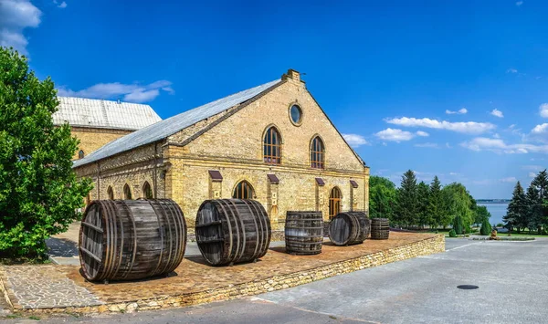 Vesele Ucrania 2020 Castillo Bodega Príncipe Trubetskoy Región Kherson Ucrania —  Fotos de Stock