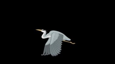 Balıkçıl gökyüzünde uçar. Alfa kanalı ile izole edilmiş el yapımı canlandırmalı döngü görüntüleri. 