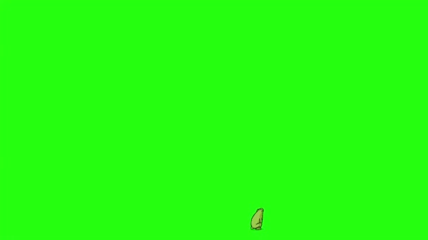Volavka Jde Lovit Žábu Ručně Vytvořené Animované Záběry Izolované Zelené — Stock video
