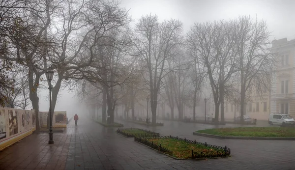 Odessa Ukrajina 2019 Primorsky Boulevard Oděse Ukrajina Mlhavý Podzimní Den — Stock fotografie