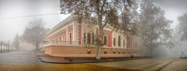 Odessa Ukraina 2019 Muzeum Morskie Primorsky Boulevard Odessie Ukraina Mglisty — Zdjęcie stockowe