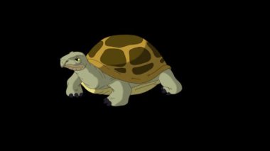 Büyük bataklık kaplumbağası kendini kuma gömüyor. Alfa kanalı ile izole edilmiş el yapımı animasyon görüntüleri. 