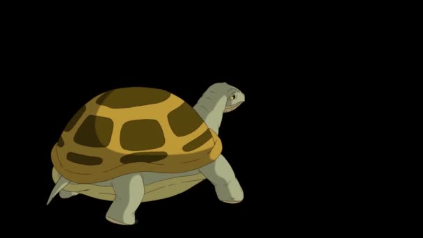 Sump Skildpadde Går Billedet Håndlavede Animerede Optagelser Isoleret Med Alfa – Stock-video