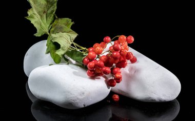 Viburum bitkisinden gelen parlak kırmızı dut kümeleri siyah bir arka planda pürüzsüz beyaz taşlar üzerinde ve çevresinde dinlenir.