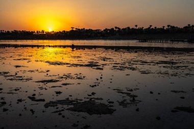 Marsa Alam, Mısır 19.07.2025 - Kayalık bir göl üzerinde sakin bir günbatımı, ahşap bir iskele ve arka planda palmiye ağaçları olan bir tatil yeri. Düzenleyici kullanımı