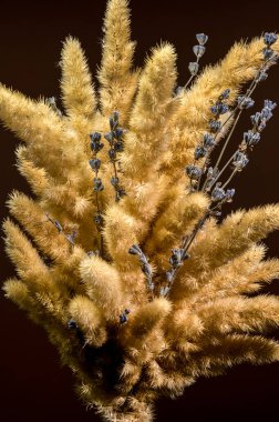 Bir buket kabarık, kurutulmuş altın çimen tüyü ve ince mavi lavanta gövdesiyle zengin, koyu kahverengi arka plan karışımının dikey görüntüsü.