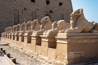 Luxor, Mısır - 27.07.2025. Mısır 'ın Luxor kentindeki Karnak Tapınağı' nın antik kalıntıları binlerce yıllık zengin tarihi ve mimari mucizeyi gözler önüne seriyor.