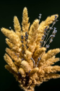 Kurumuş altın çimenler ve lavanta dallarından oluşan kırsal bir buketin yakın plan görüntüsü yansıtıcı siyah bir yüzey üzerinde ustalıkla düzenlenmiştir.