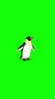 Emperor Penguin. Handmade 2D animated vertical 4K looped footage isolated on green screen for video editing and wildlife projects