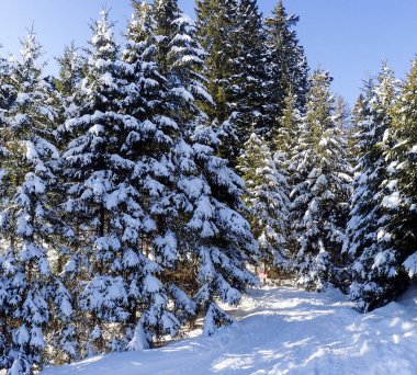 Blenio, İsviçre: Lepontine Alplerindeki kayak alanının dağ manzarası