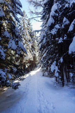 Blenio, İsviçre: Lepontine Alplerindeki kayak alanının dağ manzarası