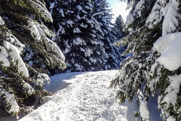 瑞士Blenio Lepontine阿尔卑斯山滑雪区的全景 — 图库照片