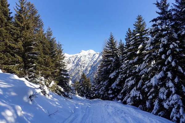 瑞士Blenio Lepontine阿尔卑斯山滑雪区的全景 — 图库照片