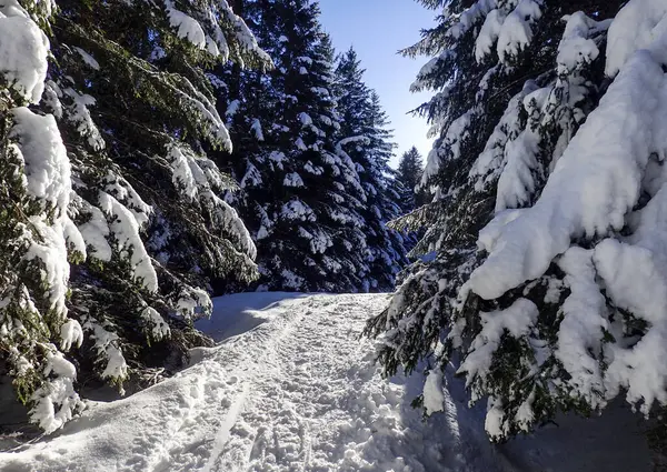 瑞士Blenio Lepontine阿尔卑斯山滑雪区的全景 — 图库照片