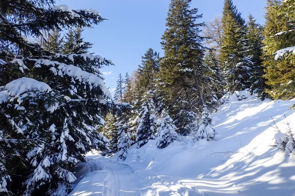 瑞士Blenio Lepontine阿尔卑斯山滑雪区的全景 — 图库照片