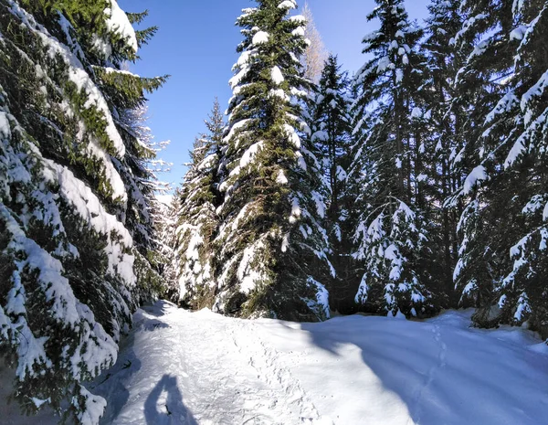 瑞士Blenio Lepontine阿尔卑斯山滑雪区的全景 — 图库照片