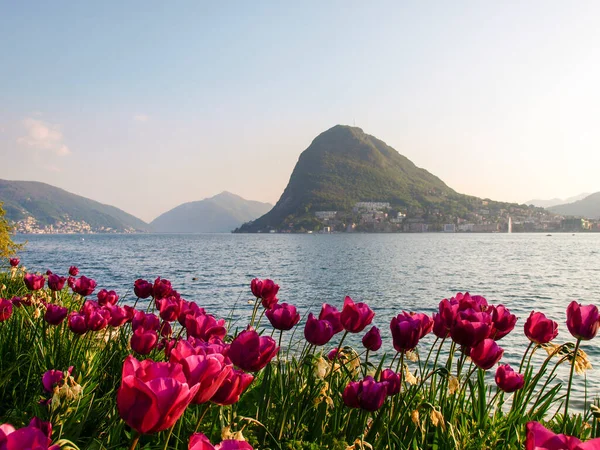 Lugano Szwajcaria Zatoka Lugano Zachodzie Słońca Wieloma Turystami Wielkanoc — Zdjęcie stockowe