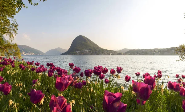 Lugano Zwitserland Golf Van Lugano Bij Zonsondergang Met Veel Toeristen — Stockfoto