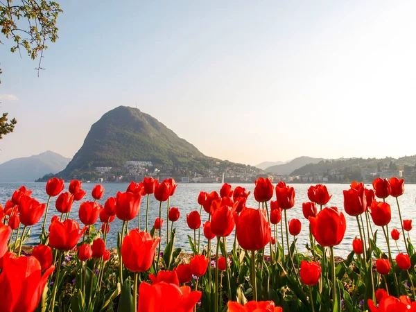 Lugano Schweiz Luganobukten Vid Solnedgången Med Många Turister För Påsk — Stockfoto