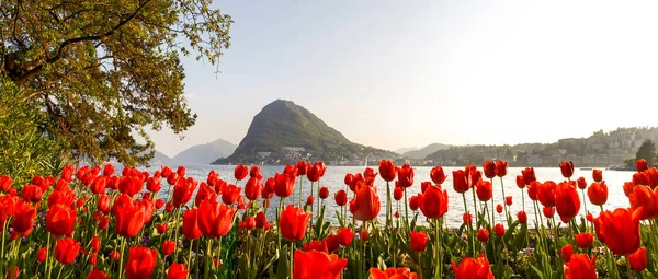 Lugano Switzerland Gulf Lugano Sunset Many Tourists Easter — Stock Photo, Image